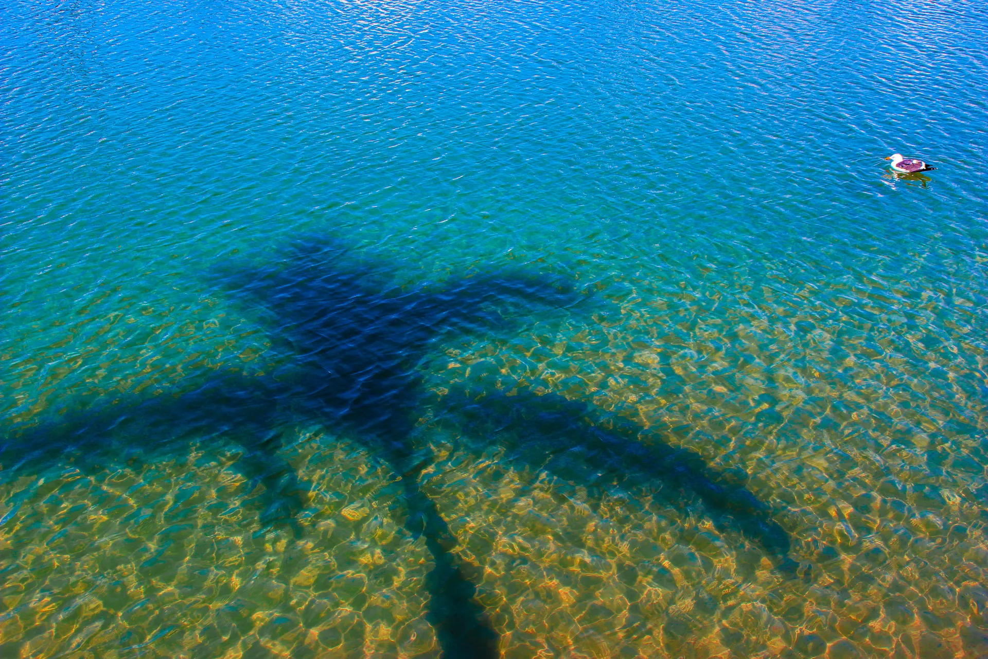 Sunlight moving across clear blue water